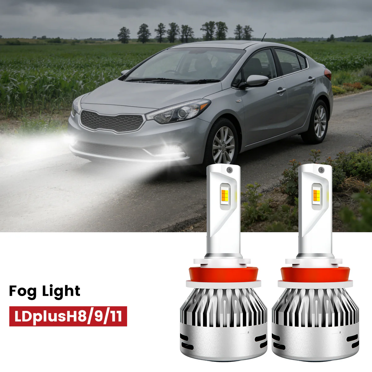 Fit for 2014-2016 Kia Forte The Brightest LED Bulbs Upgrade - Image 15