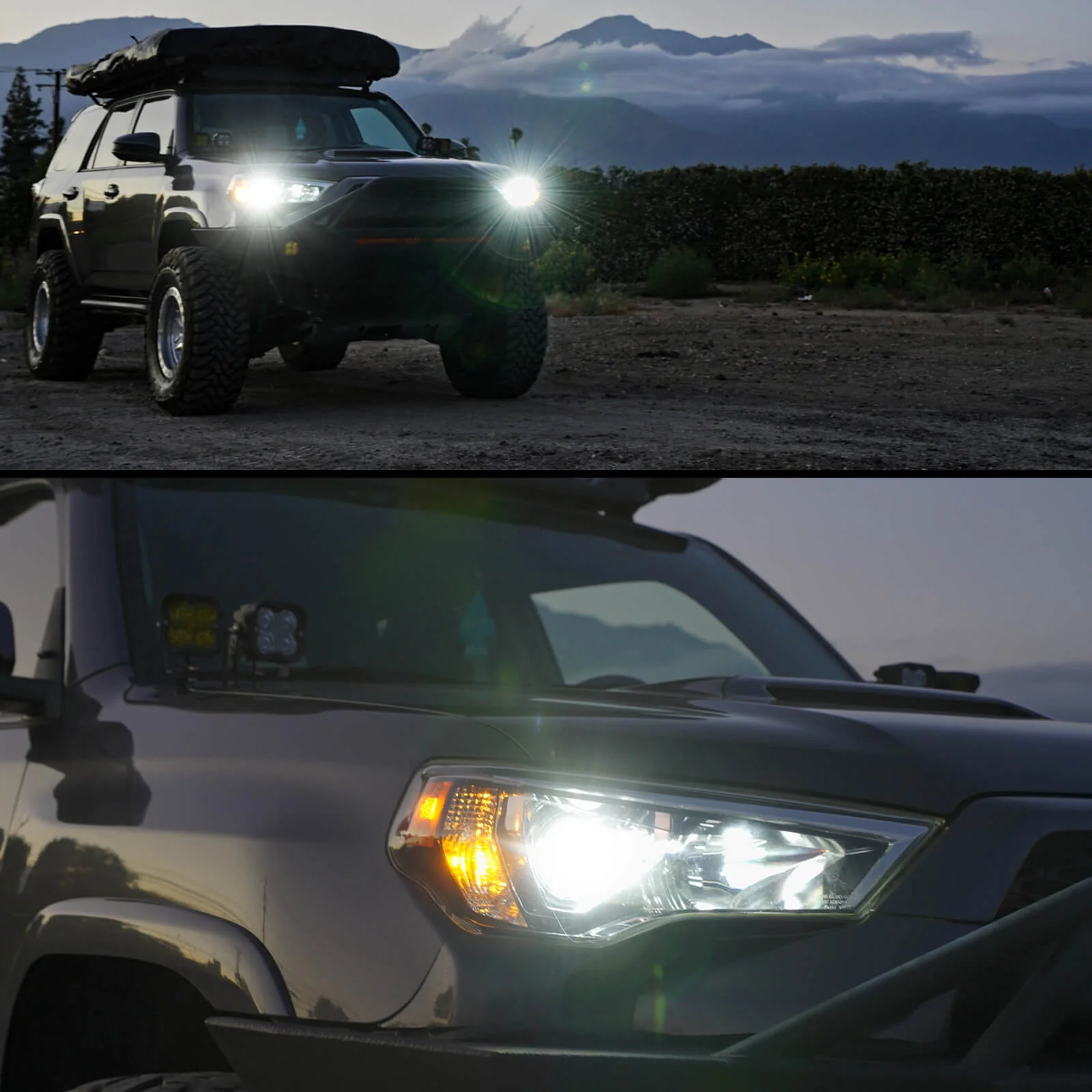 Fit for Toyota 4Runner 2014-2020 Custom H11 LED Bulbs with Dust Cover | Pro-DC Series - Image 11